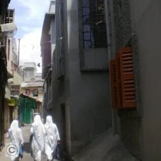 vocation_4-e1753768261680